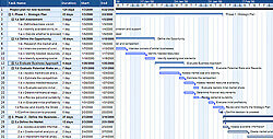 Gantt Chart For New Business